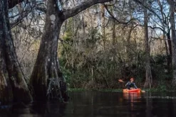 Wilderness Systems Targa 100 Recreational Sit on Top Kayak Mango