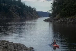 Wilderness Systems Tempest 170 Sit Inside Touring Kayak Mango
