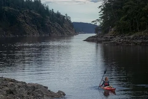 Wilderness Systems Tempest 170 Sit Inside Touring Kayak Mango
