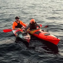 Wilderness Systems Tsunami 145 Sit Inside Touring Kayak with Rudder 14.6 ft Desert Eclipse