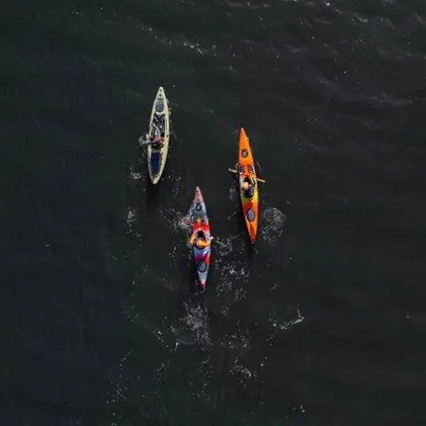 Wilderness Systems Tsunami 145 Sit Inside Touring Kayak with Rudder 14.6 ft Desert Eclipse