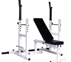 York Barbell YORK Pro Series 209 with 205 FI Bench Plus 204 Cage Attachment White