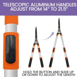 Zenport Hedge Shear HS723-12PK Orange/Black