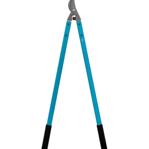Zenport MV32-6PK Professional Tree Lopper, 32-Inch, Box of 6 Blue