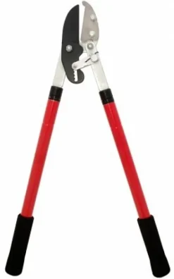 Zenport Telescopic Ratchet Anvil Lopper 23.5 in Red – Box of 6