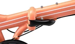 ZiZZO Forte Heavy Duty Folding Bike Coral