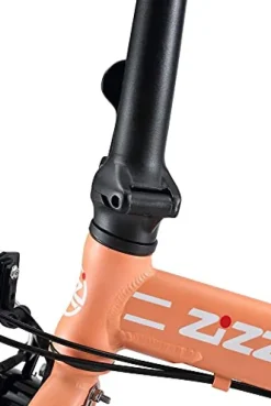 ZiZZO Forte Heavy Duty Folding Bike Coral